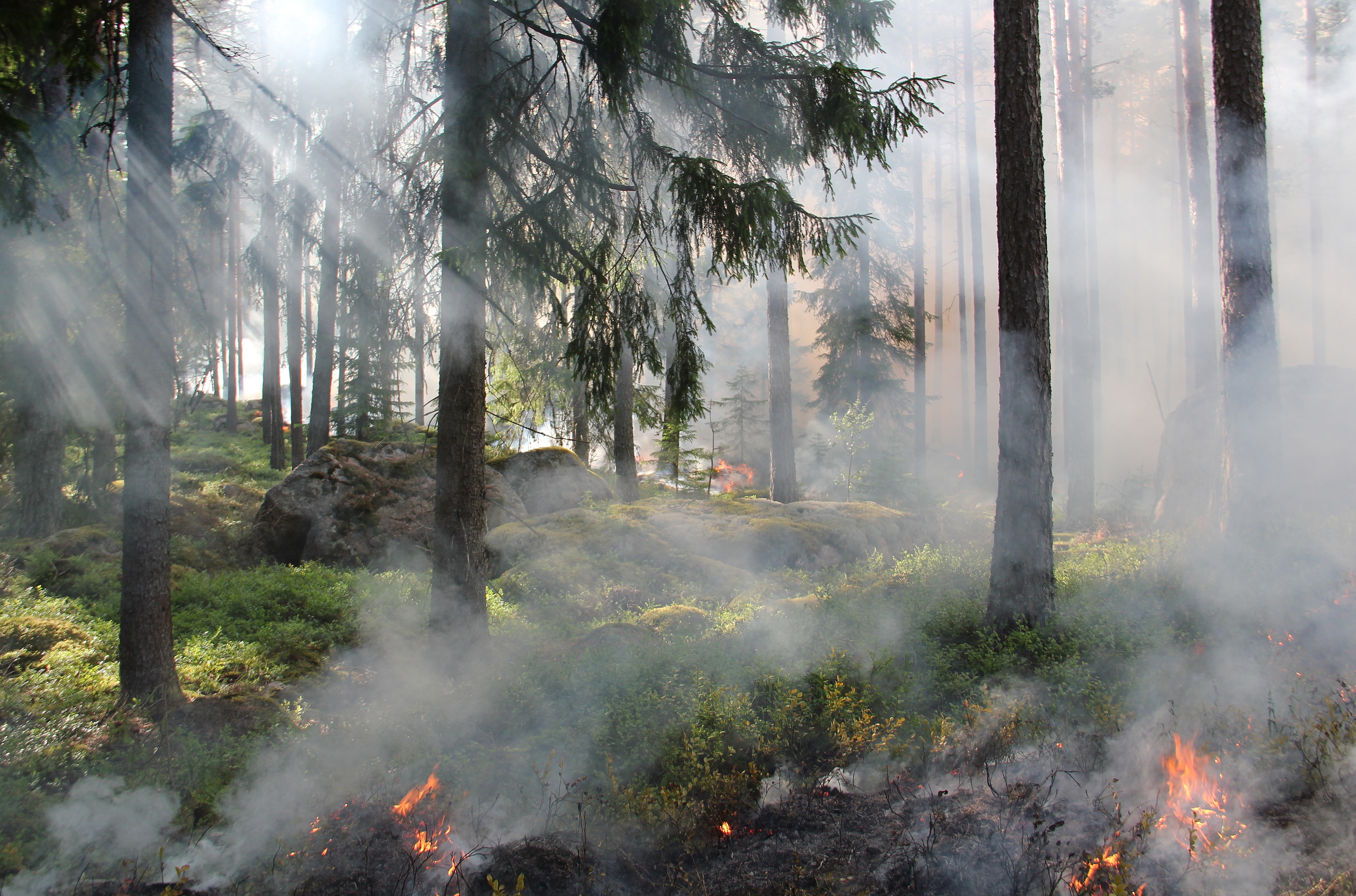 Press Release - ‘We need to look beyond stubble burning to improve air quality’