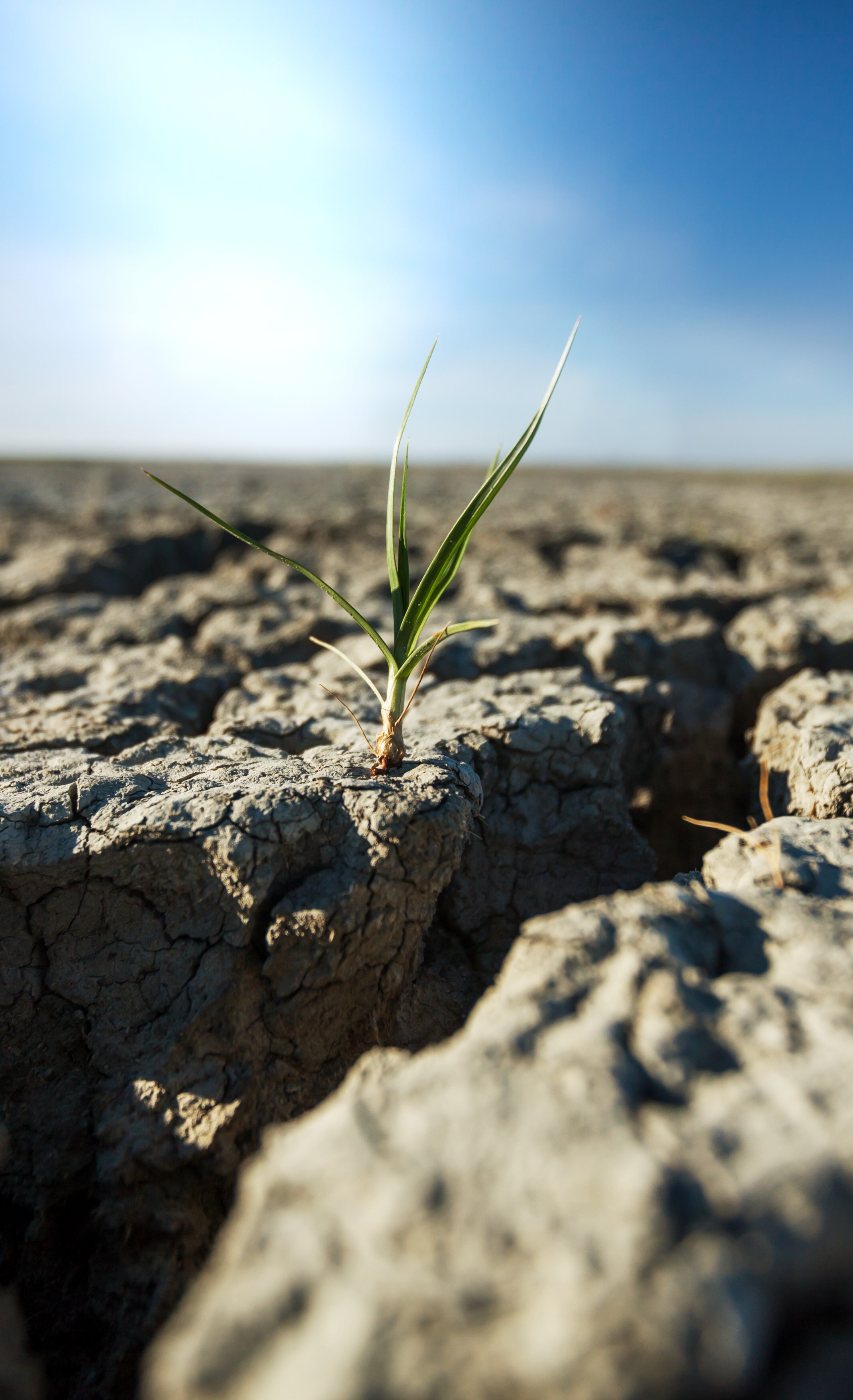 Unravelling India’s Changing Rural Migration Patterns Amidst Climate Change